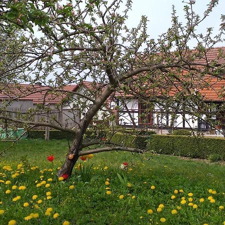 Pension Toepferhof Bad Berka Bagian luar foto