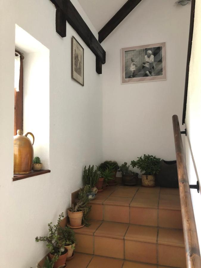 Pension Toepferhof Bad Berka Bagian luar foto