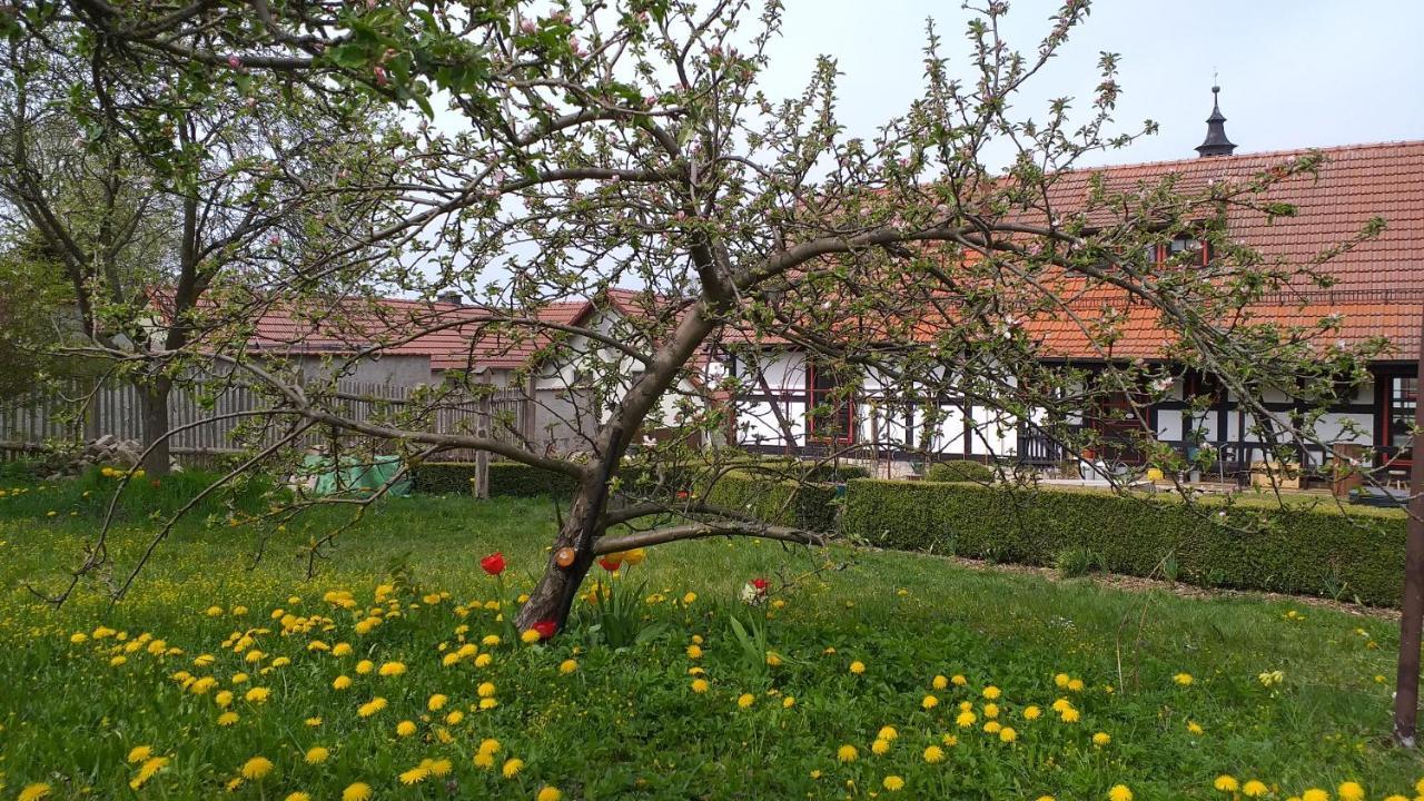 Pension Toepferhof Bad Berka Bagian luar foto